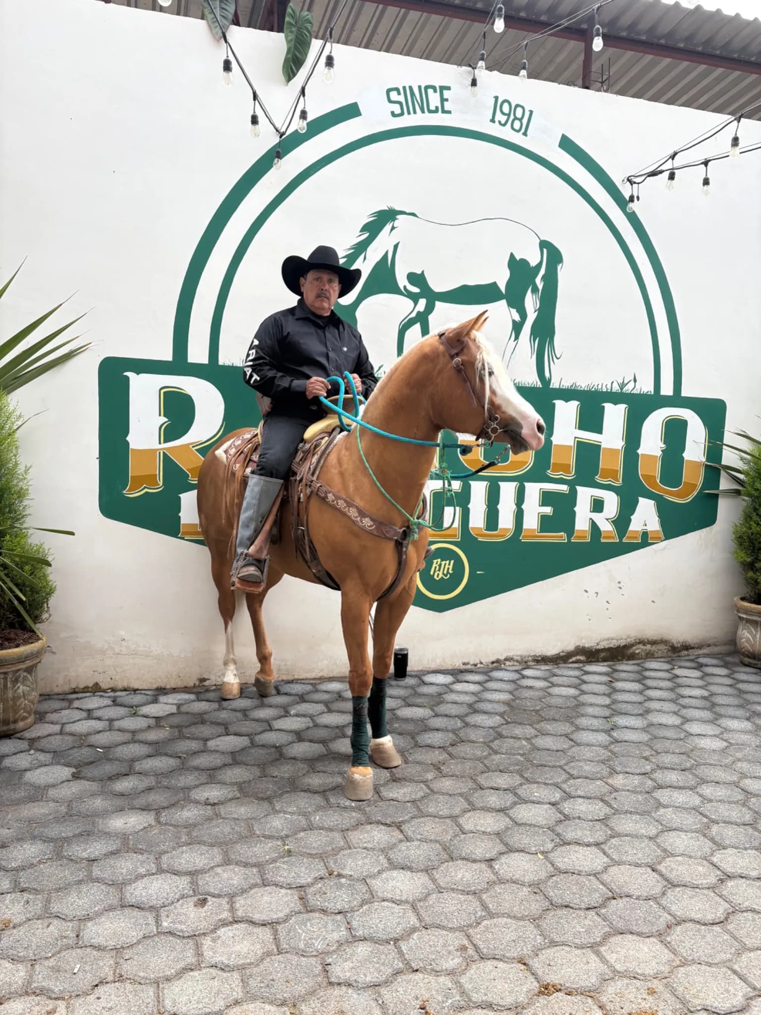 Hombre saltando a caballo café