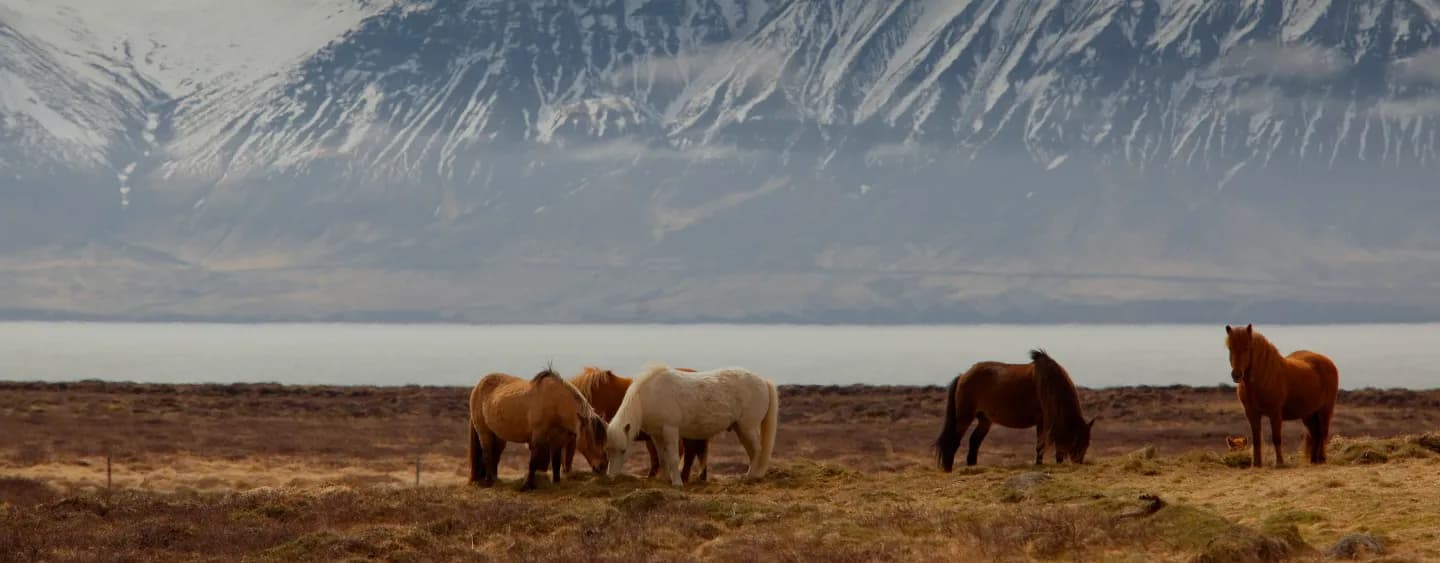 Paisaje de Rancho La Higuera