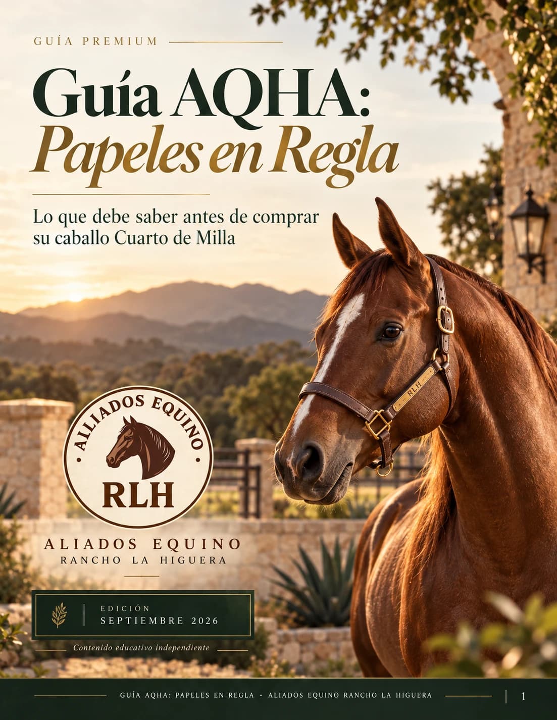 Portada de la Guía AQHA: Papeles en Regla