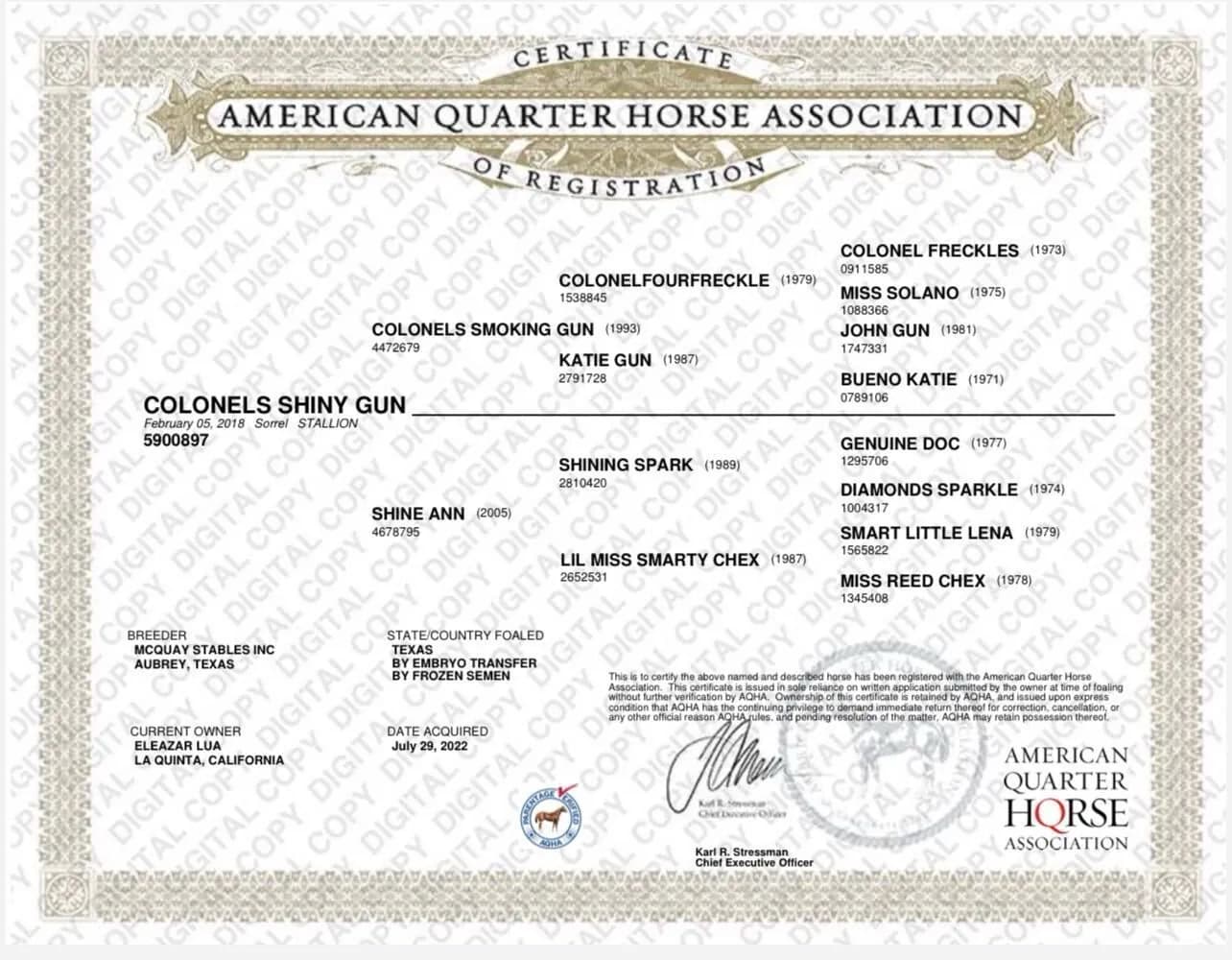 Registro de Colonels Shiny Gun